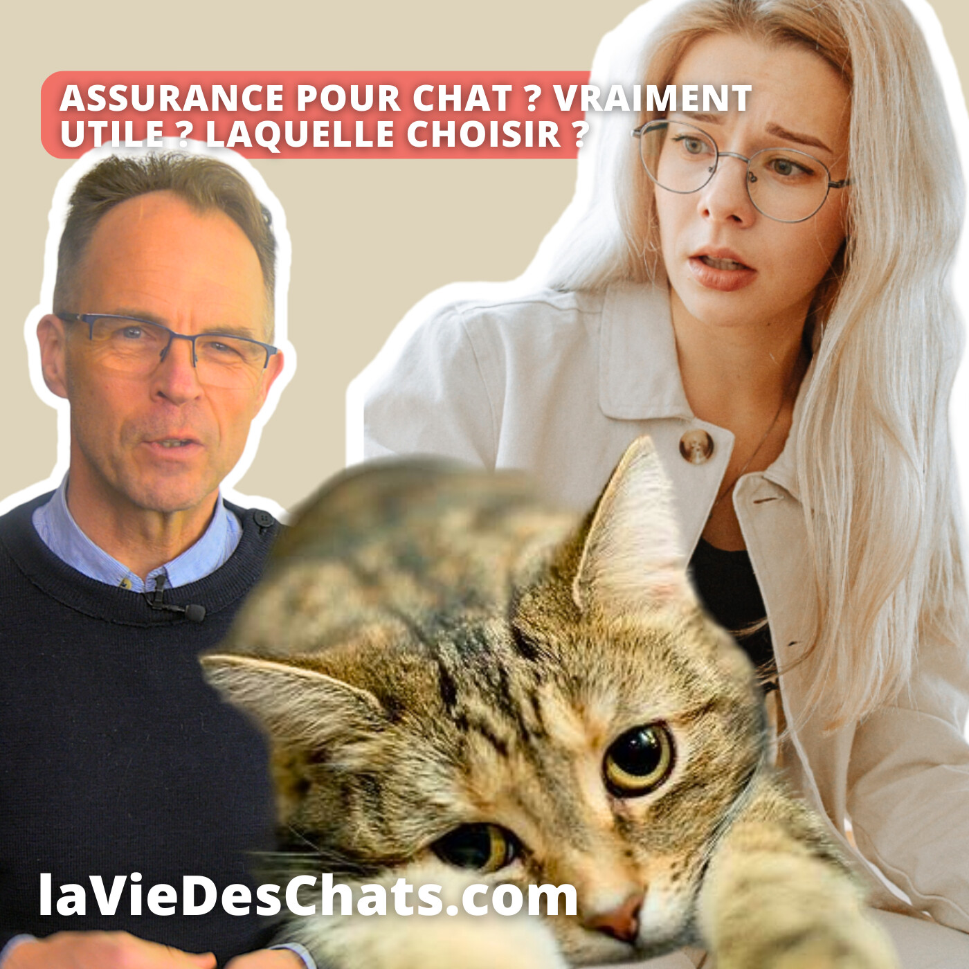 laVieDesChats