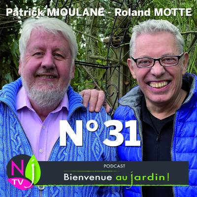 EMISSION #31 du 13 NOVEMBRE 2021- L'INTEGRALE cover