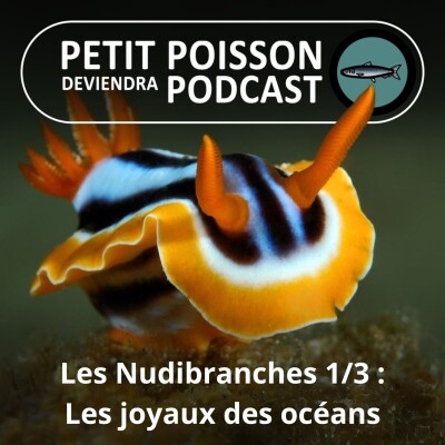 S03E05 Les Nudibranches 1/3 : Les joyaux des océans cover