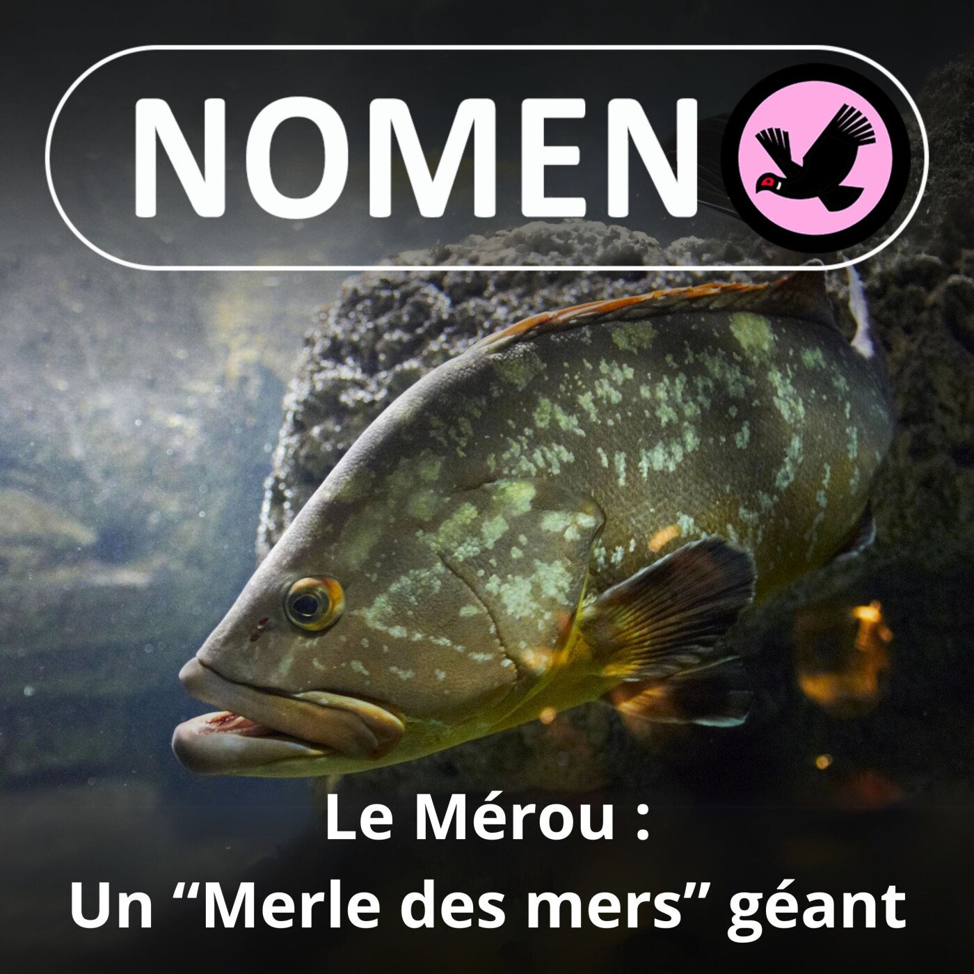 Nomen