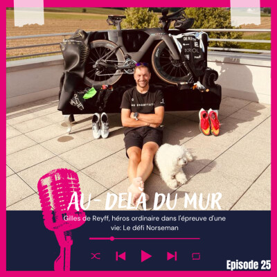 25 - Gilles de Reyff / Un héros ordinaire dans l'épreuve d'une vie: Le défi Norseman cover