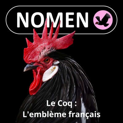 S02E02 Le Coq : l'emblème français/Gaulois est issu d'un surnom moqueur donné par... les Romains. cover