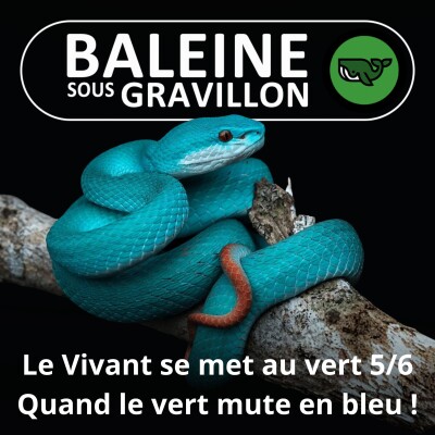 S07E77 Allez les Verts ! 5/6 : Bleu = vert − jaune cover