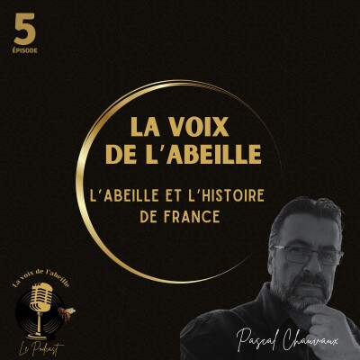 #5 - L'abeille et l'histoire de France cover