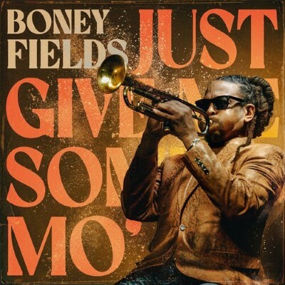 UN JOUR UN DISQUE #682 BONEY FIELDS cover