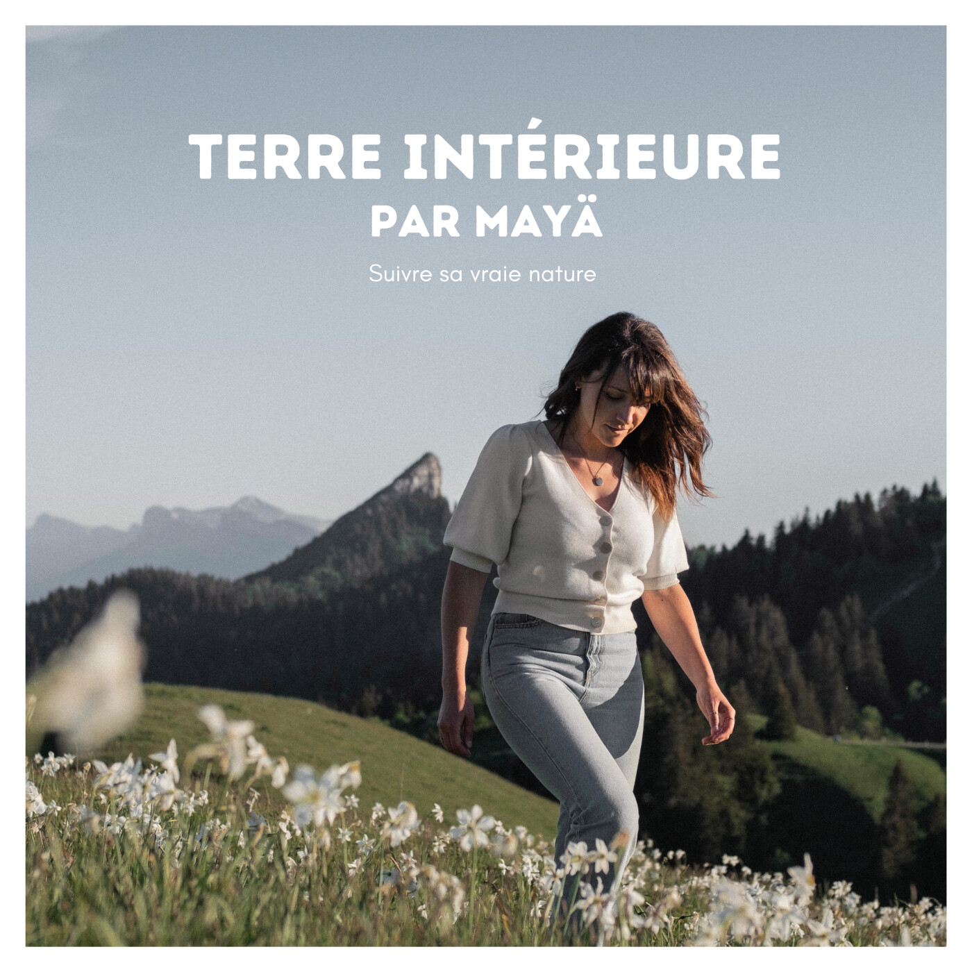 Terre intérieure cover art
