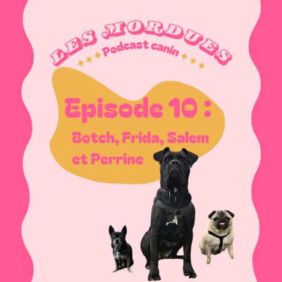 Botch, Frida, Salem et Perrine cover