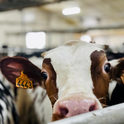 Dorothée Kergoat Vision et objectif TRANSMISSION cover