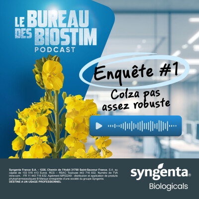 L’affaire du colza pas assez robuste cover