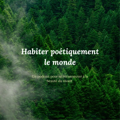 REDIFF ETE - Corinne Morel Darleux : “Poser un regard poétique sur le monde peut être extrêmement politique” cover