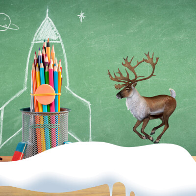 Le Renne aux Yeux de Travers | Un conte sur l'art de rebondir après un échec cover