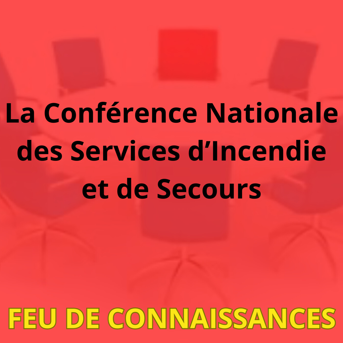 La Conférence Nationale des Services d'incendie et de Secours ( la CNSIS)