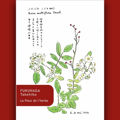 Takehiko Fukunaga - La Fleur de l'herbe cover