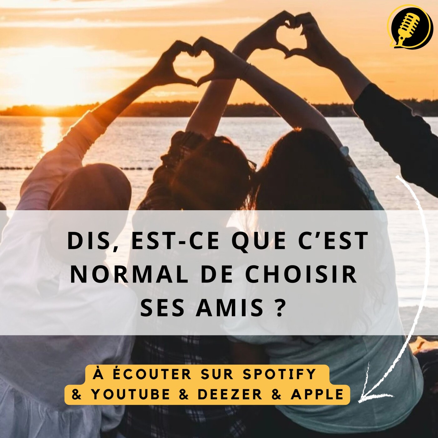 Episode 27 : Choisir ses amis