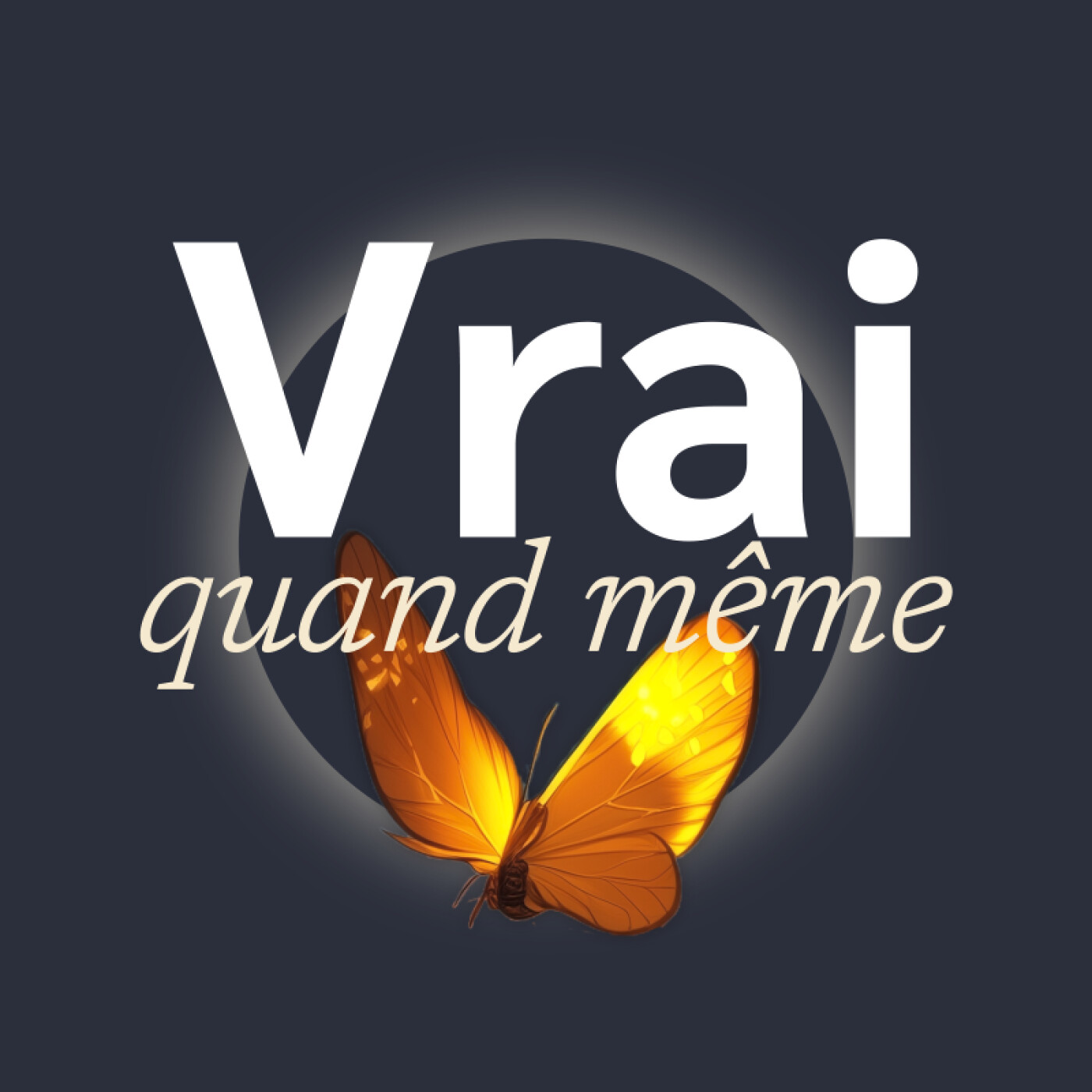 Vrai Quand Même cover art