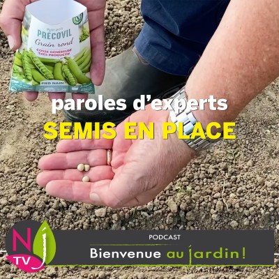 PAROLES D'EXPERTS:LES SEMIS EN PLACE DU PRINTEMPS cover