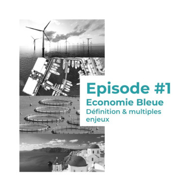 #1 - De l'économie bleue traditionnelle aux nouveaux secteurs émergents : quels défis ? cover