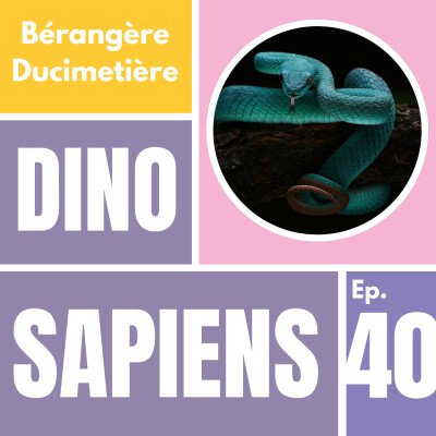 Chronique solo : La philosophie agile pour repenser nos façons de travailler cover