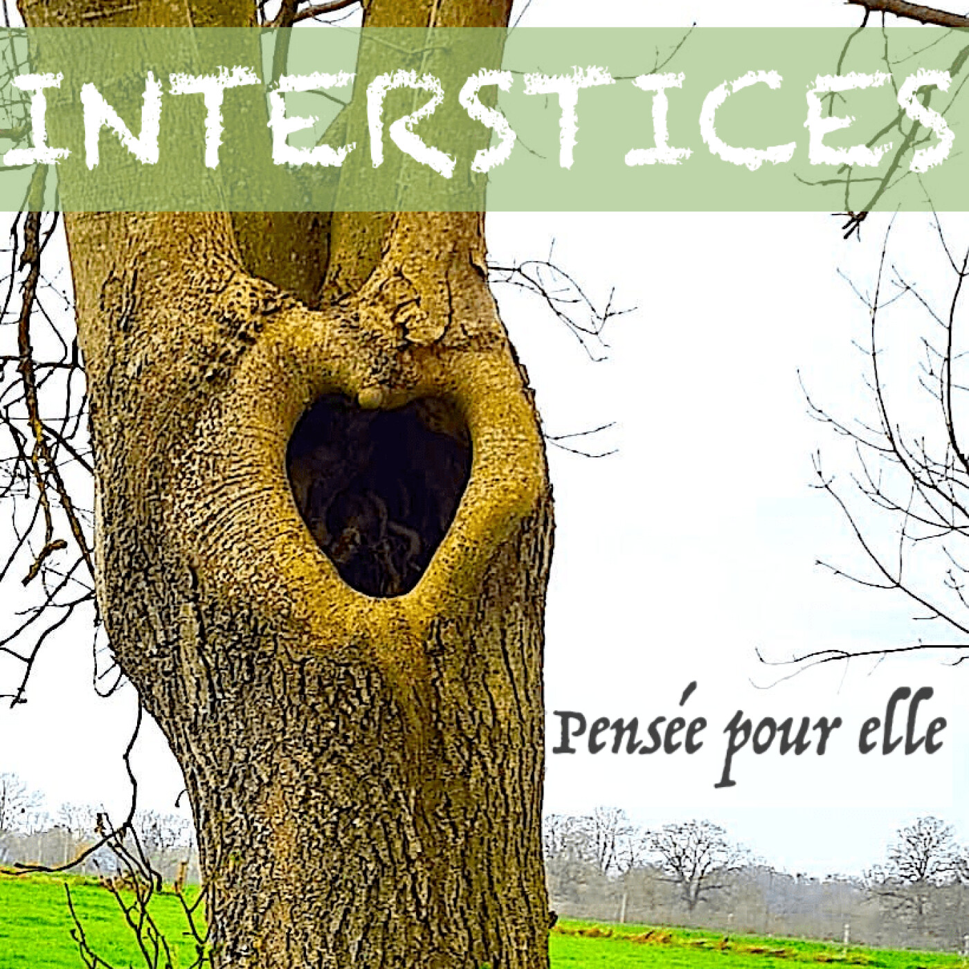 INTERSTICES