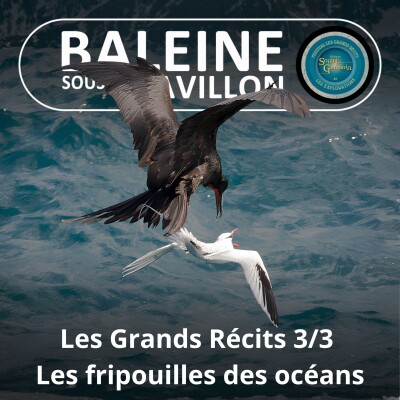 HORS-SÉRIE Les Grands Récits 3/3 : Les fripouilles des océans (Bill François/Marc Mortelmans) cover