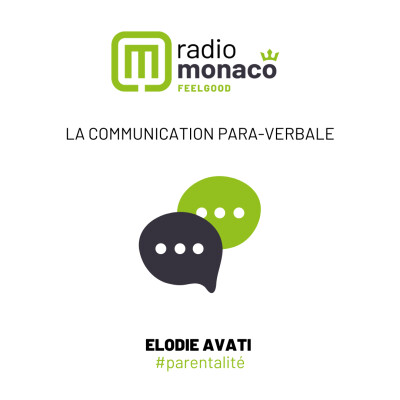 L'importance de la communication para-verbale cover