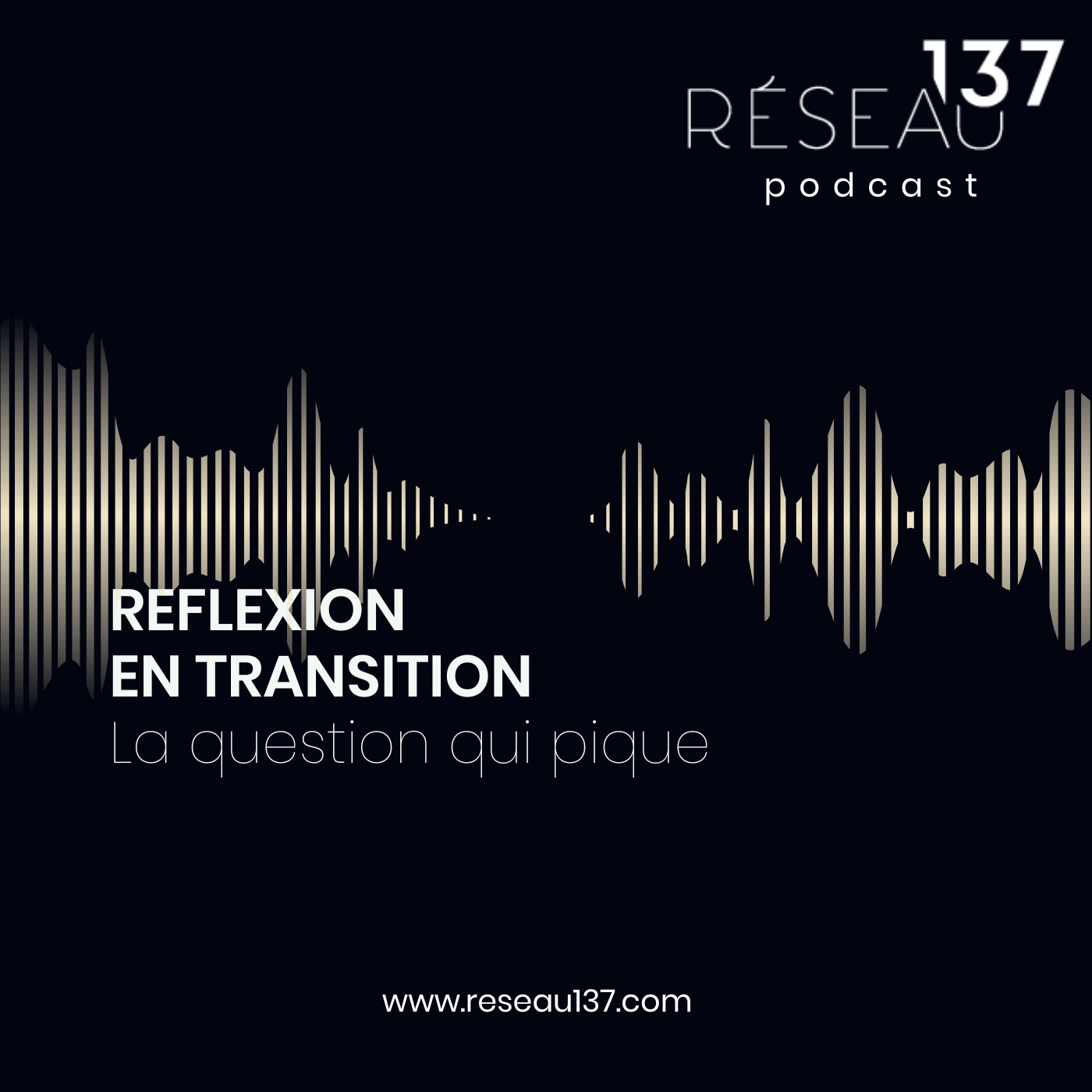 REFLEXION EN TRANSITION - Anne Elisabeth Cutier episode artwork