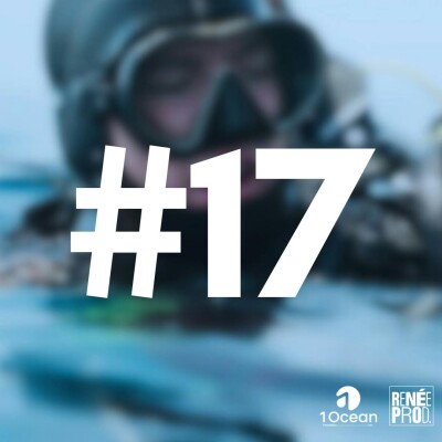 Plongeon dans les posidonies cover