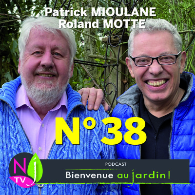 EMISSION #38 du 15 JANVIER 2022 - L'INTEGRALE cover