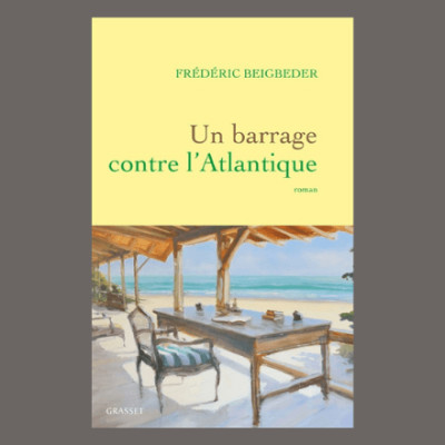 Frédéric Beigbeder - Un roman français cover