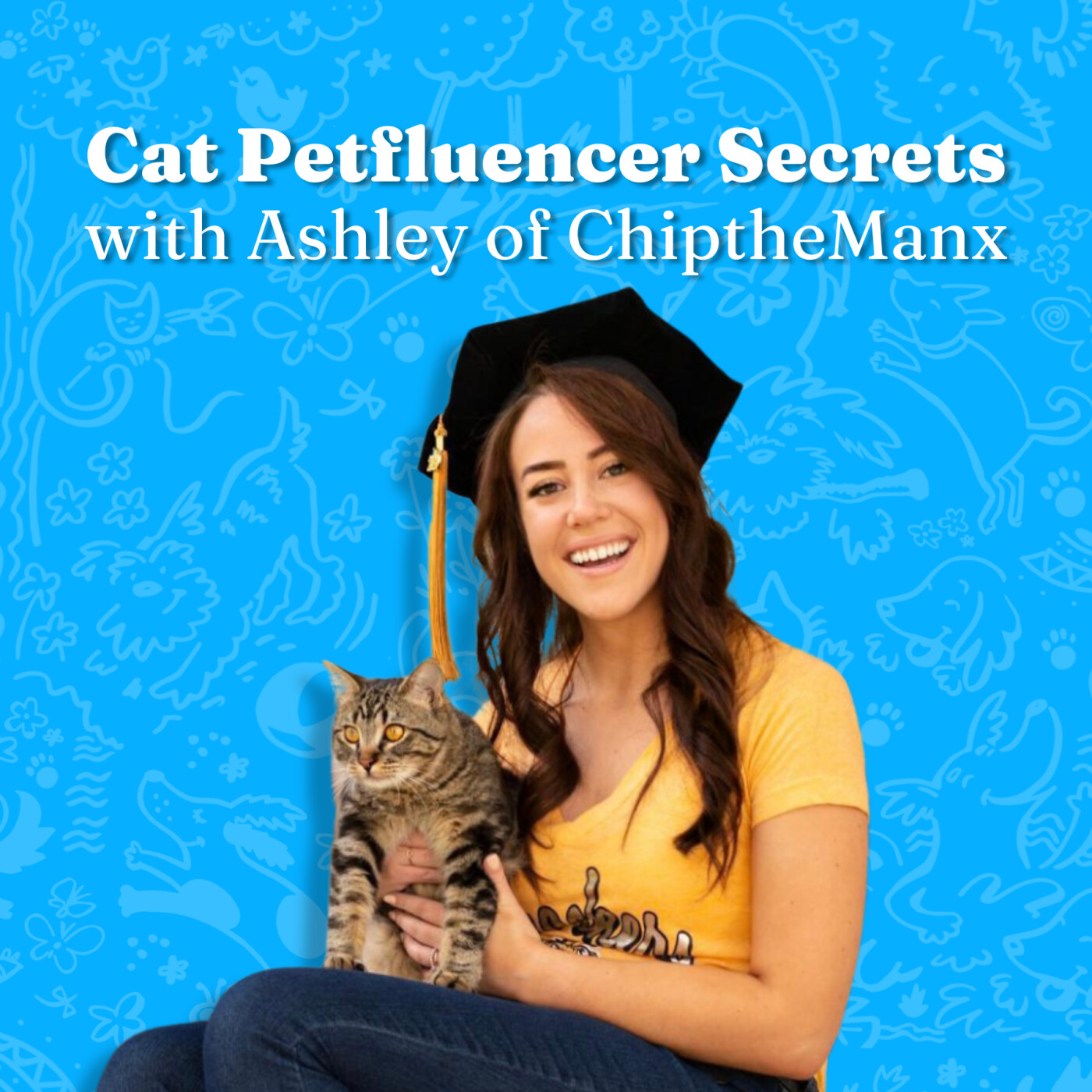 Cat Petfluencer Secrets with Ashley of Chip the Manx episode artwork