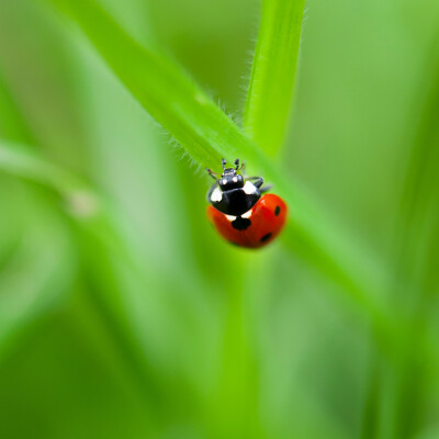 Biodiversité : partager les connaissances pour mieux protéger la nature cover
