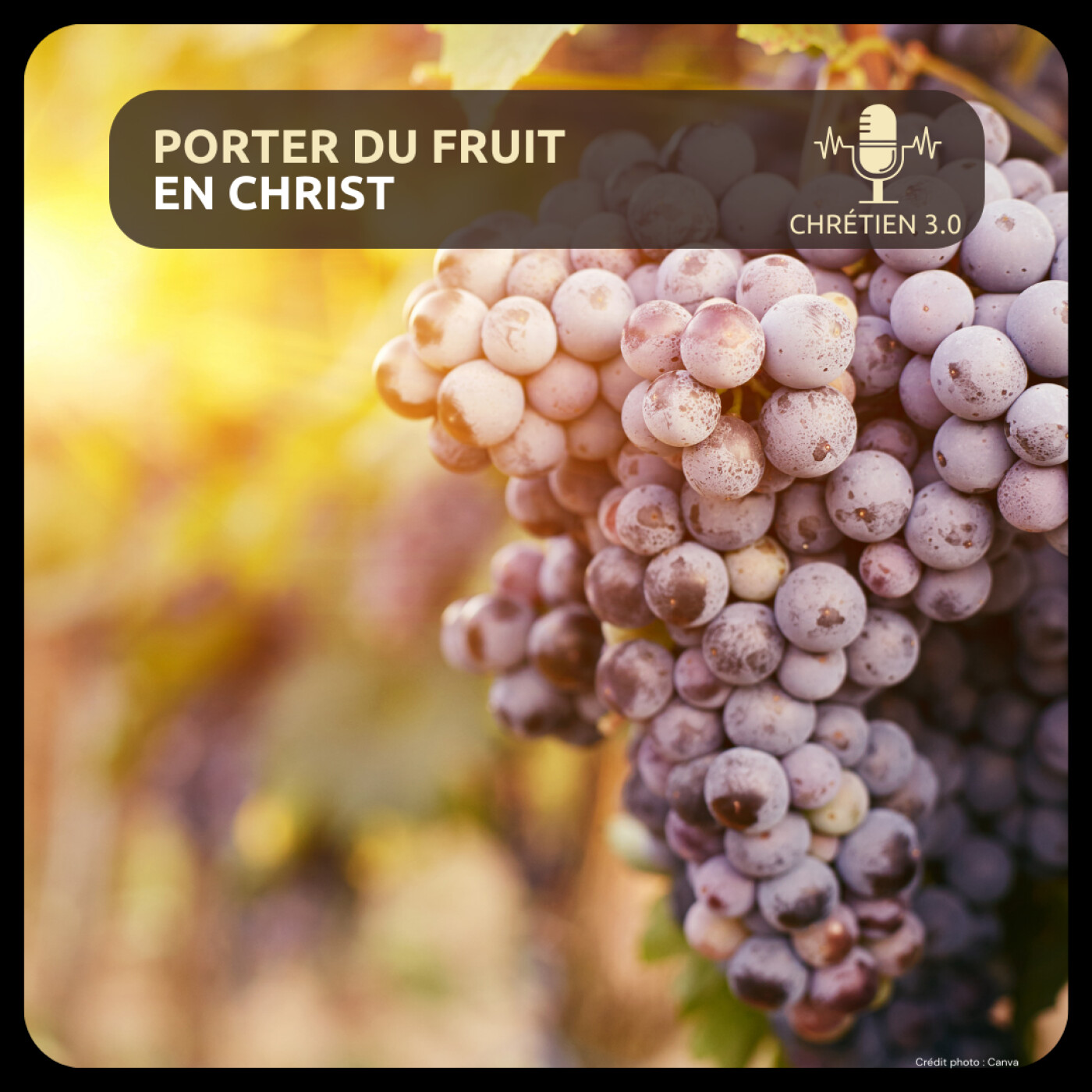 Porter du fruit en Christ