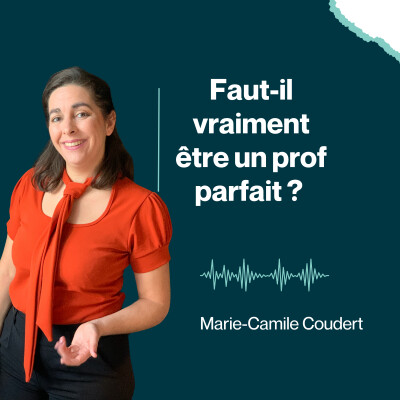 Faut-il vraiment être un prof parfait ? cover