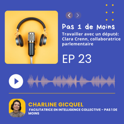 Travailler avec un député: Clara Crenn, collaboratrice parlementaire cover