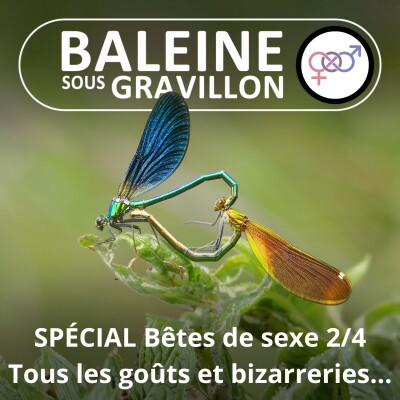 Bêtes de sexe 2/4 : Tous les goûts ET bizarreries sont dans la Nature ! cover