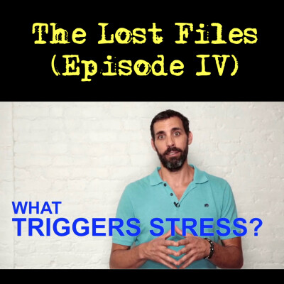 The Lost Files - Episode IV - Stress Triggers cover