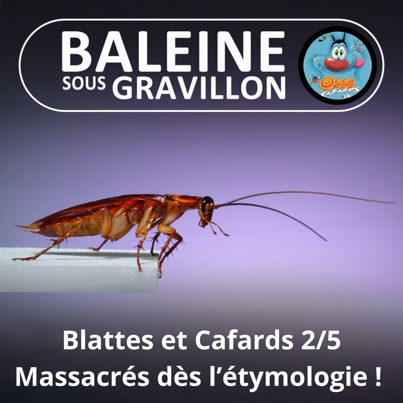 S05E18 Blattes et Cafards 2/5 : Déjà massacrés dans l'étymologie ! episode artwork