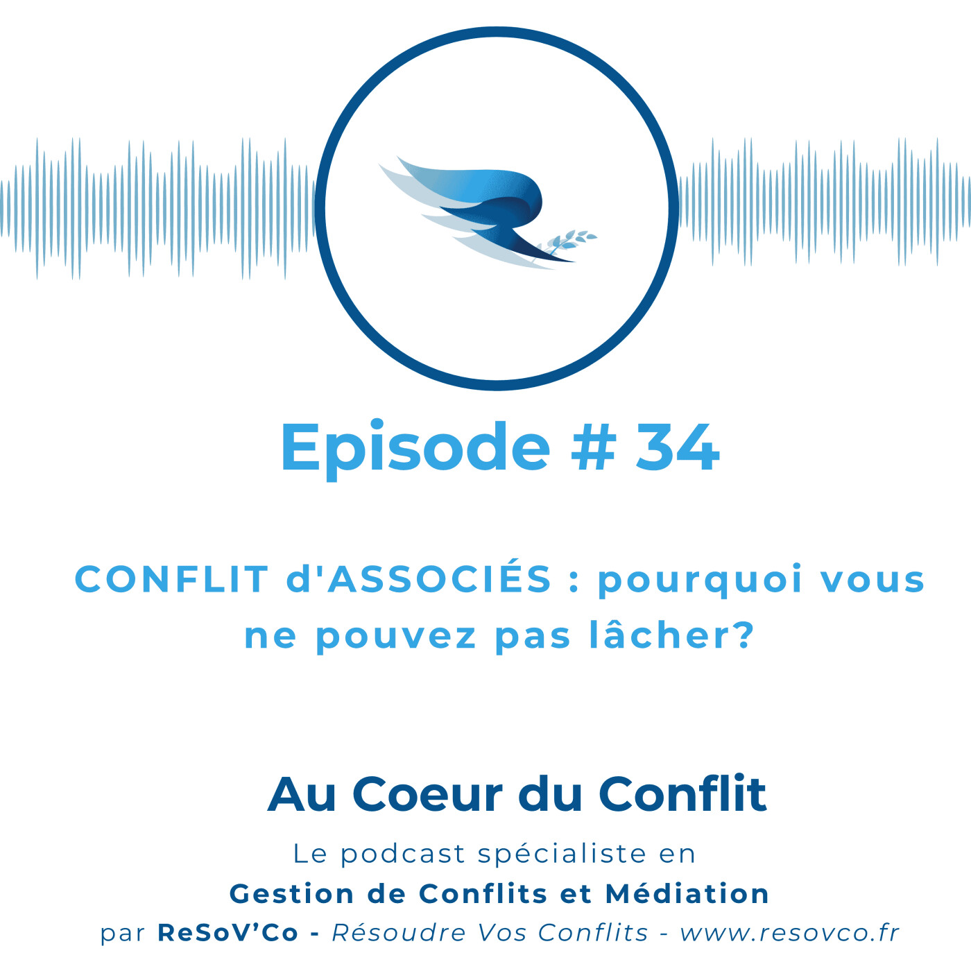 34. CONFLIT d'ASSOCIÉS : pourquoi vous ne pouvez pas lâcher ? episode artwork