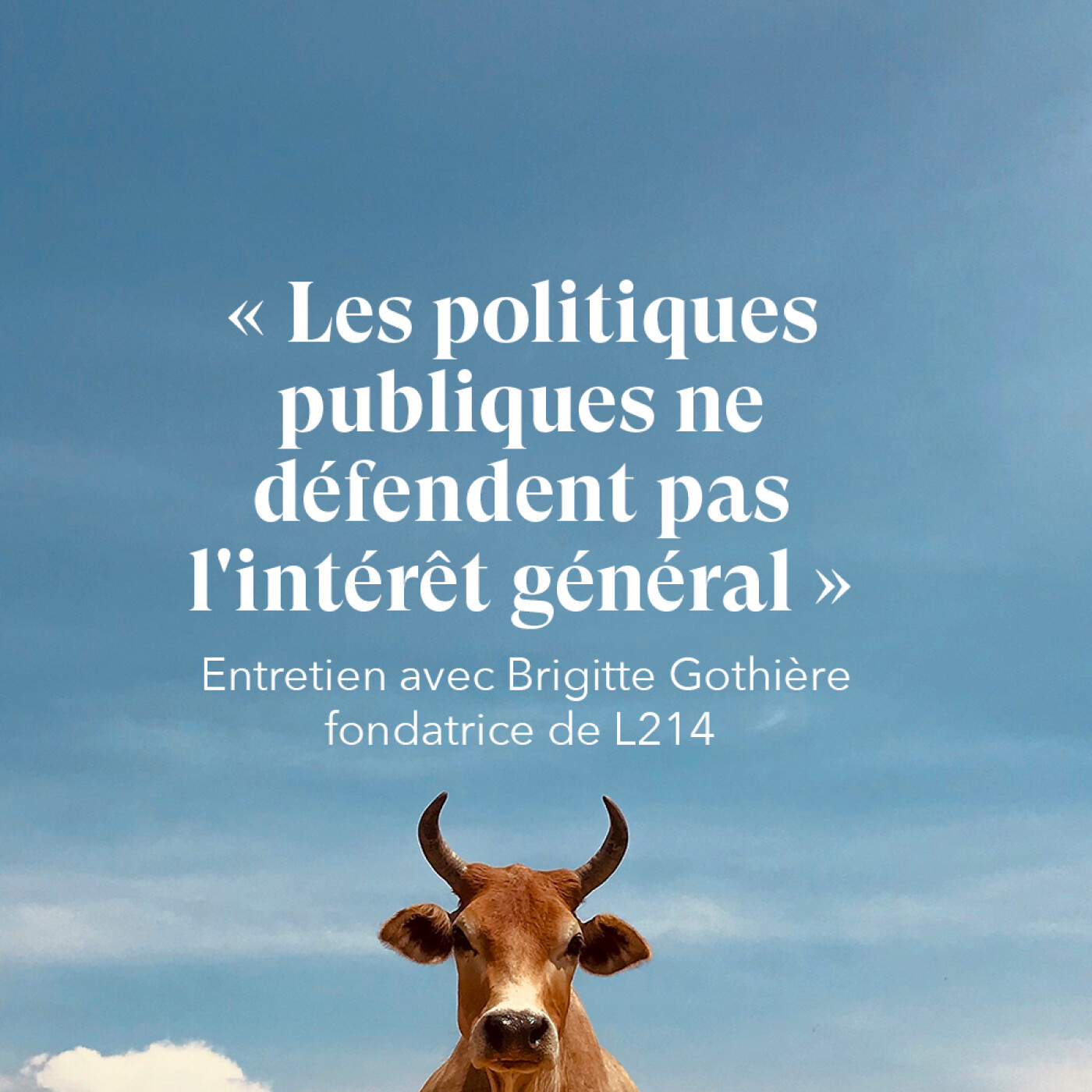 ‘Les politiques publiques ne défendent pas l’intérêt général » – Entretien avec Brigitte Gothière, fondatrice de L214