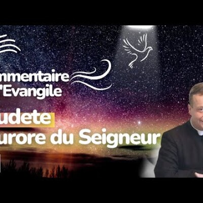 Il t'accordera plus que les désirs de ton coeur | Commentaire de l'Evangile • Homélie | Dimanche 1 cover