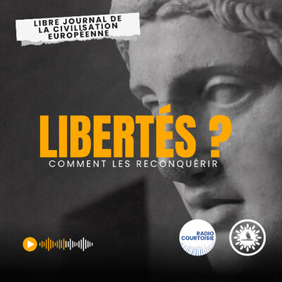 Libertés ? Comment les reconquérir cover