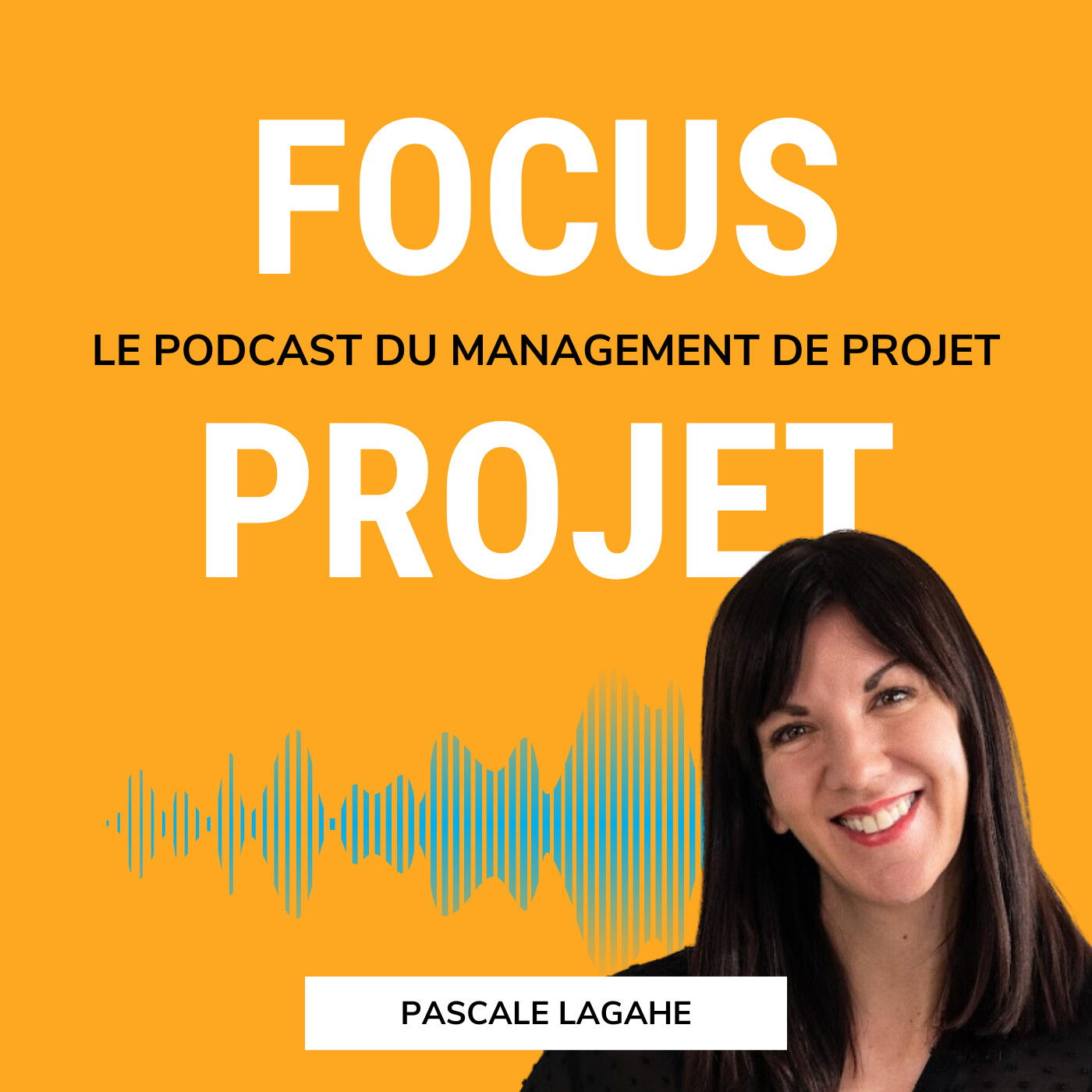 🔍 Focus Projet - Management de Projet, Gestion, Communication, Leadership, Conseil, Astuces et outils pour les chefs de projets