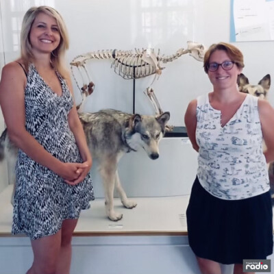 DESTINATION NATURE - Avec Juliette Galpin cover