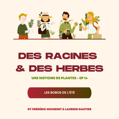 Épisode 14 - Les bobos de l'été et leurs solutions naturelles cover