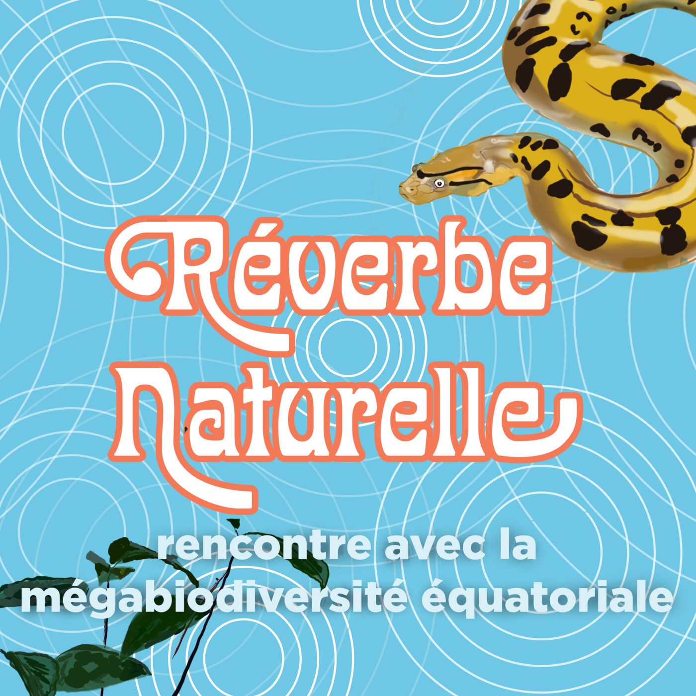 Réverbe naturelle