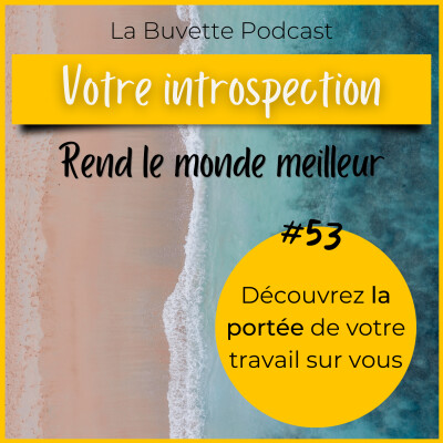 #53 Comment VOTRE introspection rend NOTRE monde meilleur ?! cover