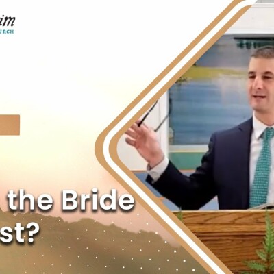 Beware of Baptist Briders: What they Believe and Why they are WRONG! cover