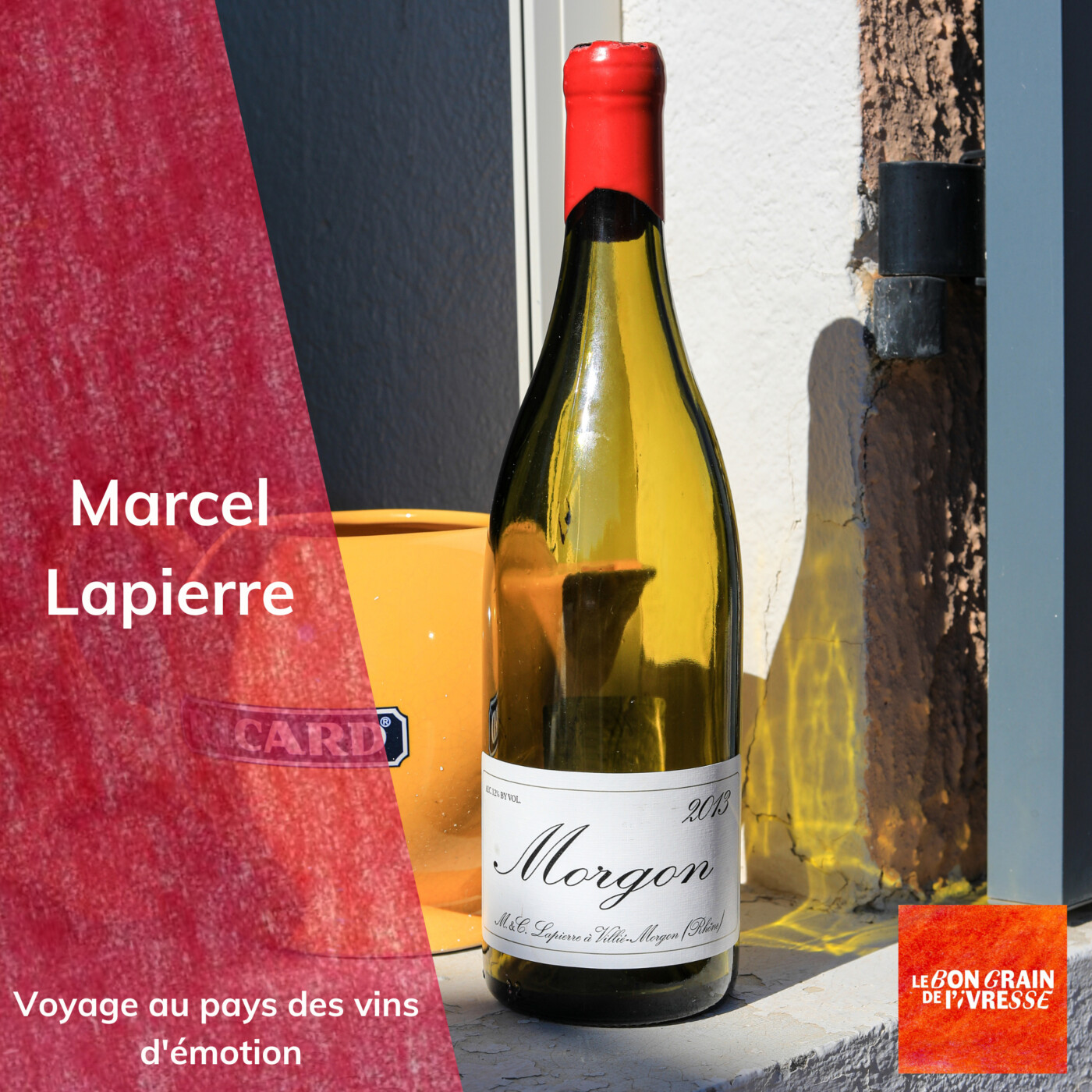 Des vins d'émotion : Morgon, Marcel Lapierre