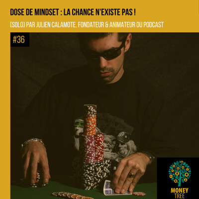 #36 [SOLO] Dose de mindset : la chance n'existe pas ! cover
