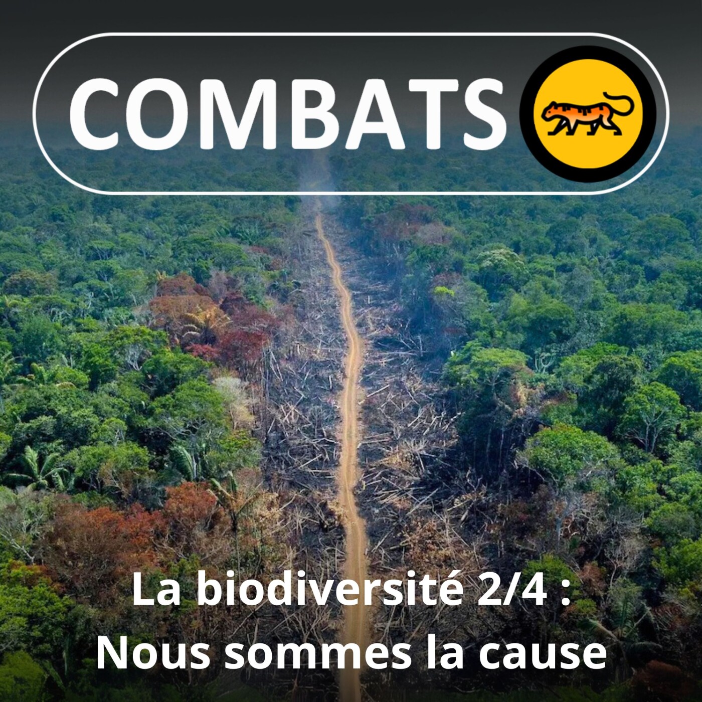 S03E34 La biodiversité 2/4 : Nous sommes la cause (Hugues Mouret, entomologiste)